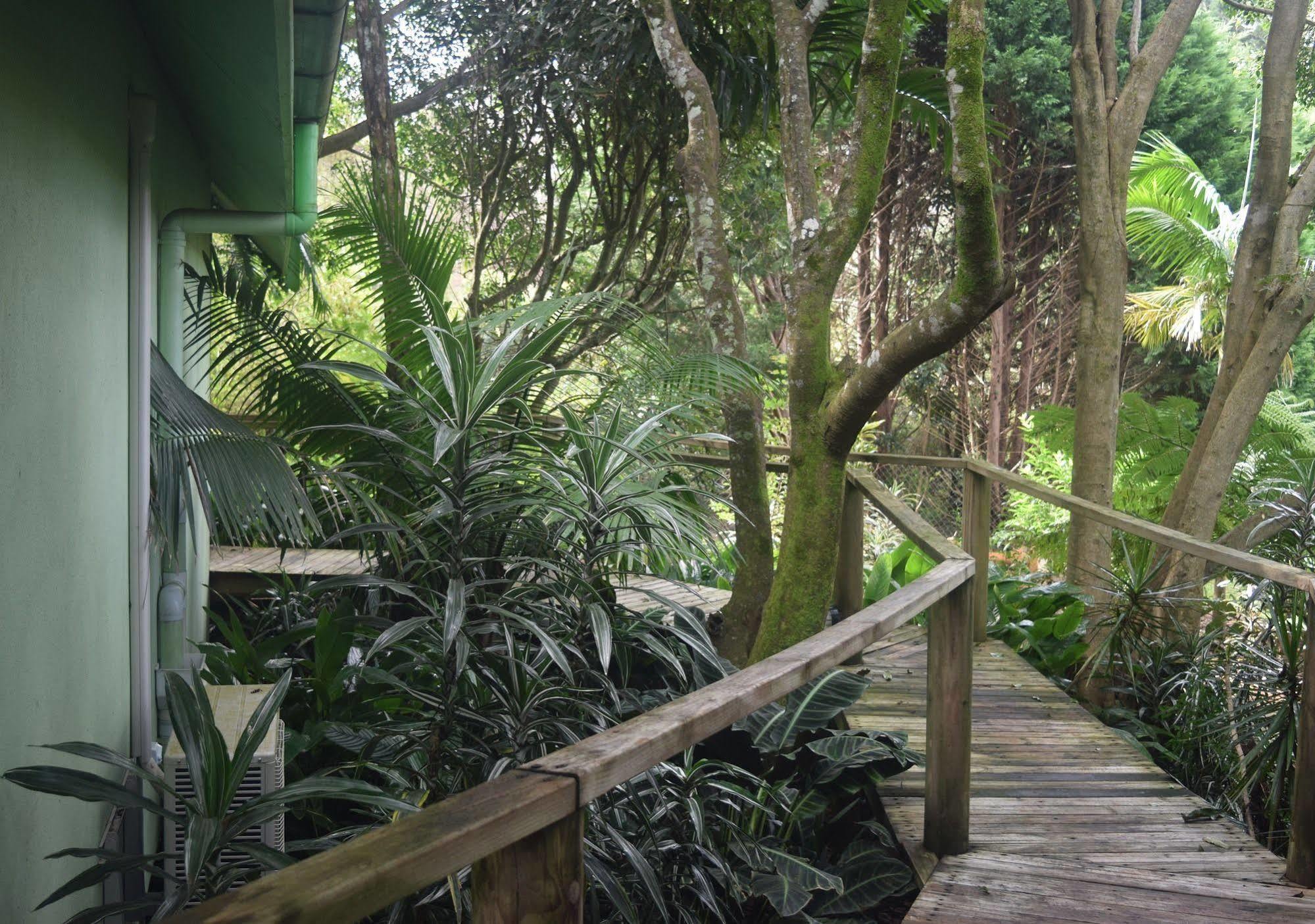 Chalet On Gallery Walk - King Bed, Spa, Fireplace, Wifi & Netflix, Linger A While Mount Tamborine Extérieur photo